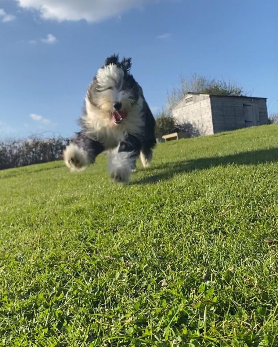 It’s All Kicked Off……. It’s All Kicked Off…….